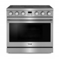 Thor Kitchen - 6.0 Cu. Ft. Freestanding Electric Convection Range - Silver
